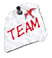 Team